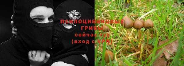 первитин Протвино