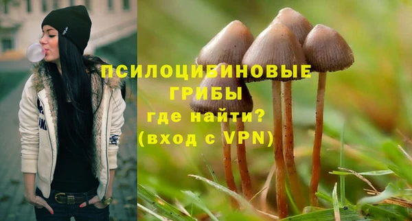 герыч Балахна