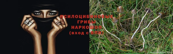 МДМА Приозерск