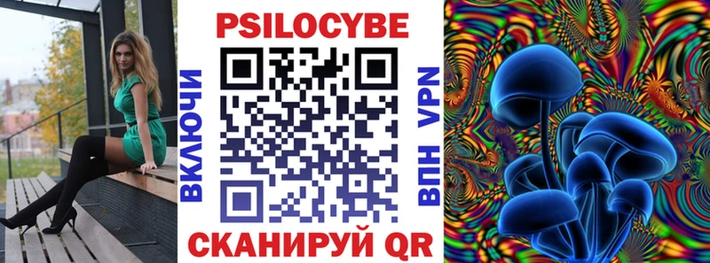 где продают   Славск  Псилоцибиновые грибы прущие грибы 